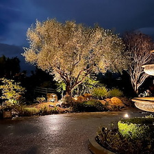 Why-continuing-education-is-essential-for-landscape-lighting-design-in-Montreal 10